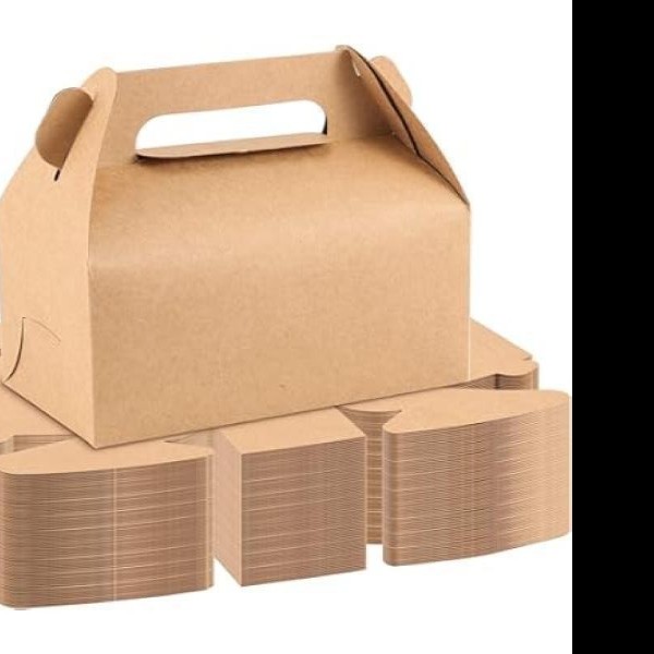 CAJA LONCHERA KRAFT NATUR GOSTECH 19X8.5X11 CM E10